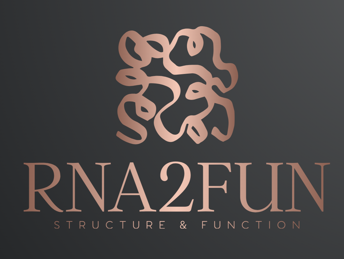 RNA2FUN Light Logo